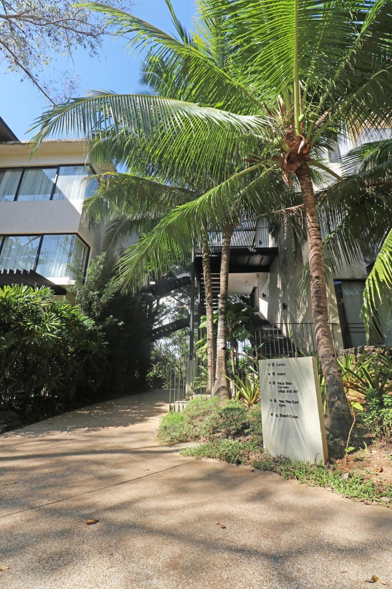 Amorita Panglao