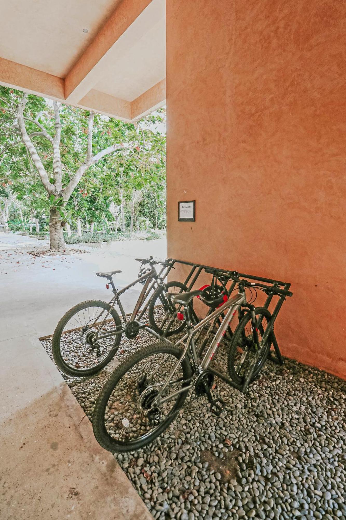 Resort Amorita Panglao